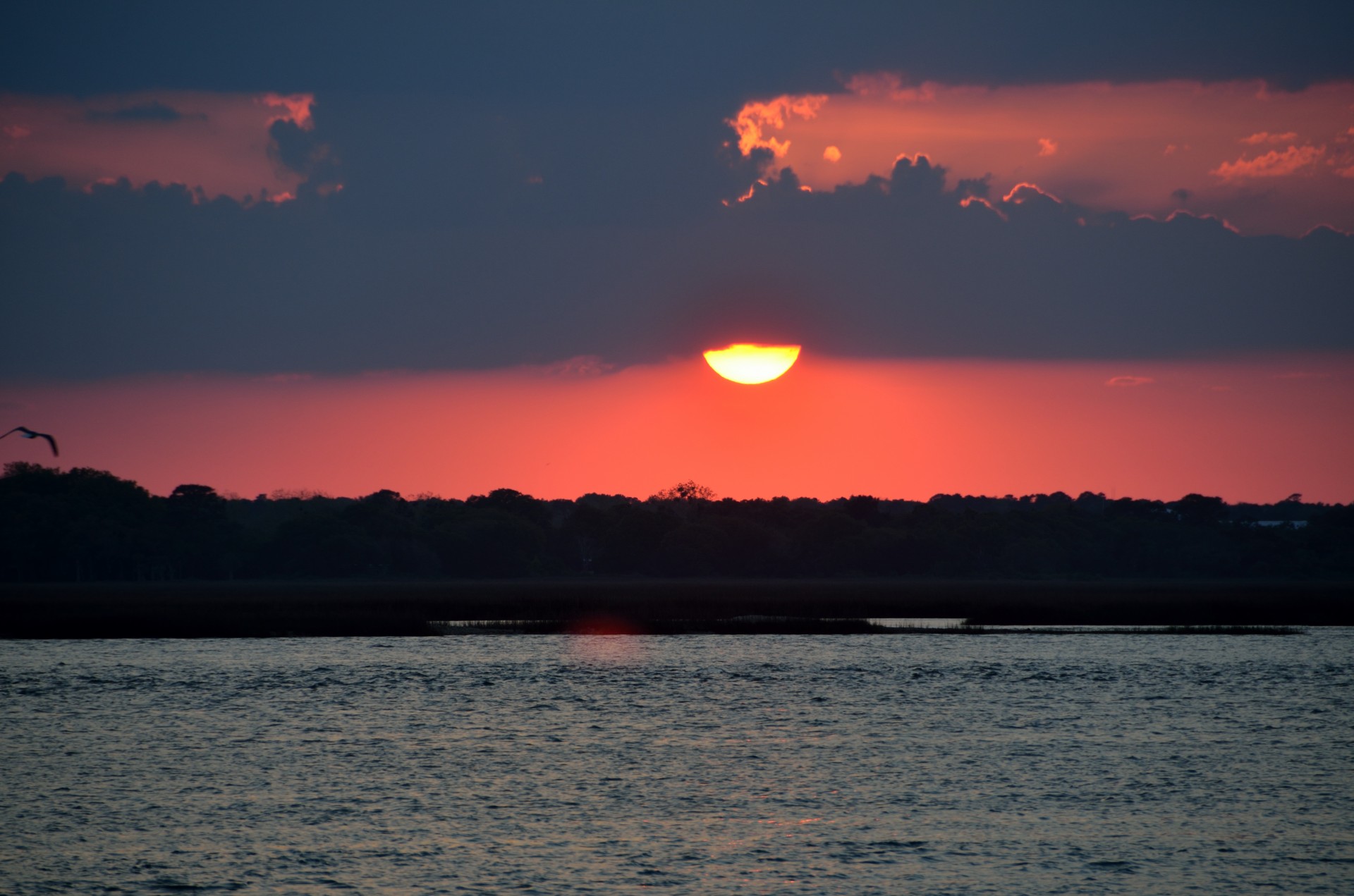 sunset night majestic free photo