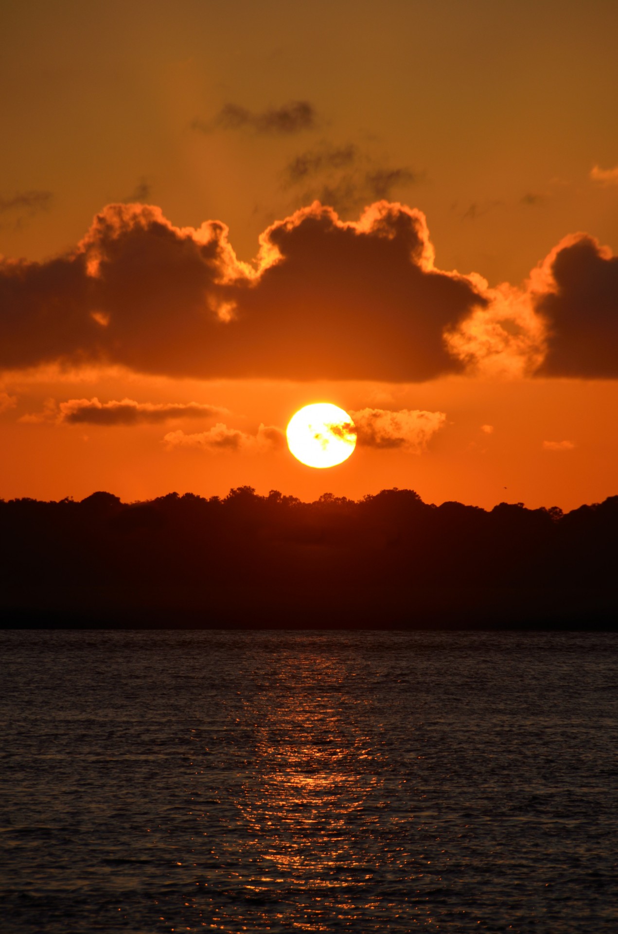 sunset florida river free photo