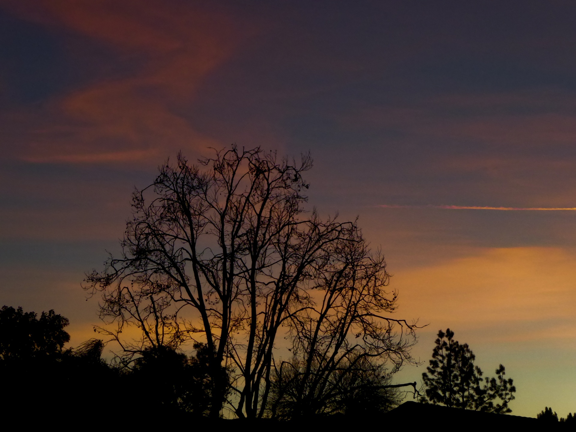 sundown silhouette pink free photo