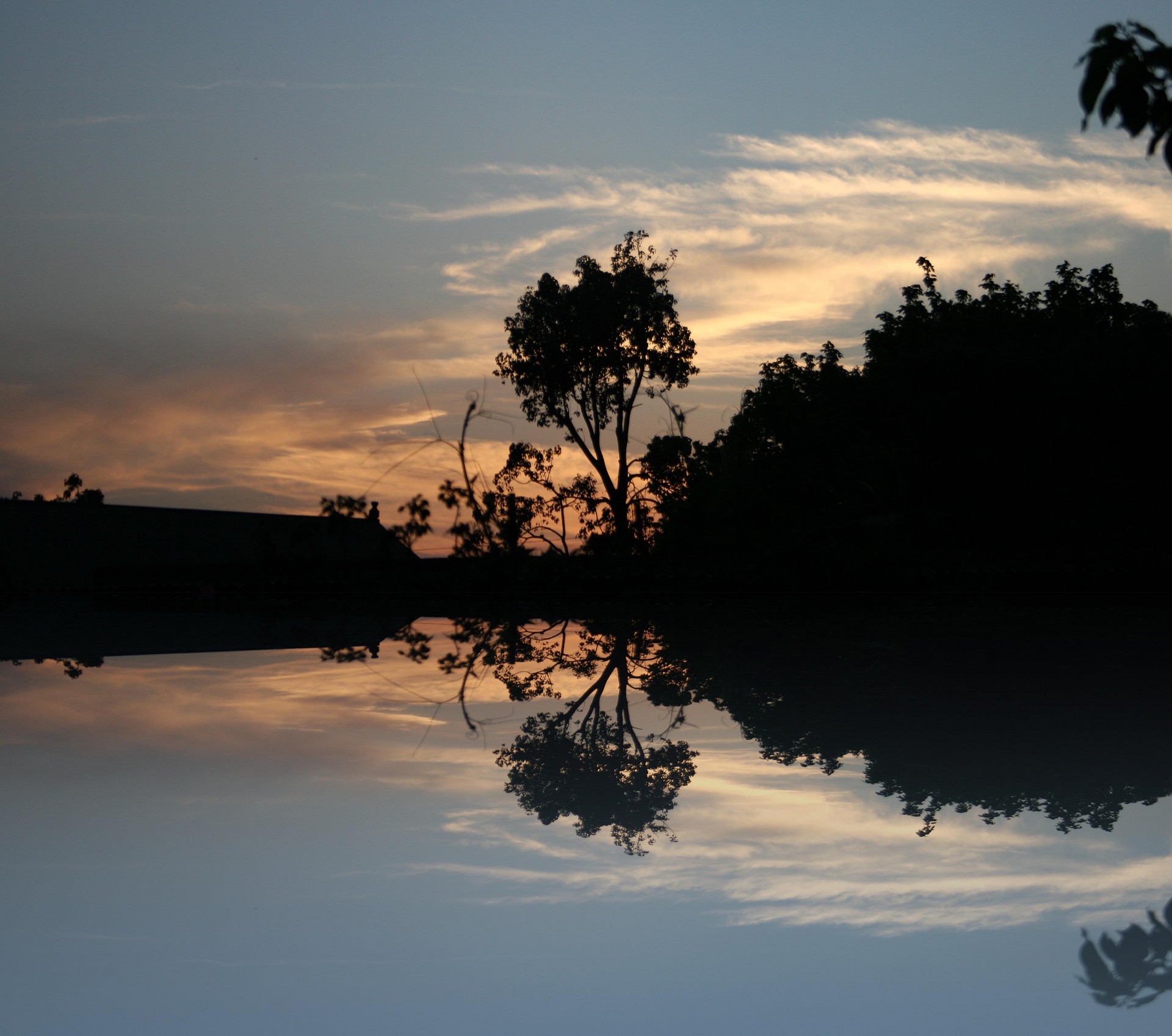 sunset silhouette reflection free photo