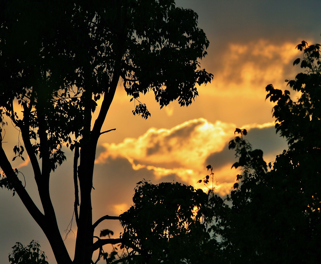 sunset silhouette sunset clouds free photo