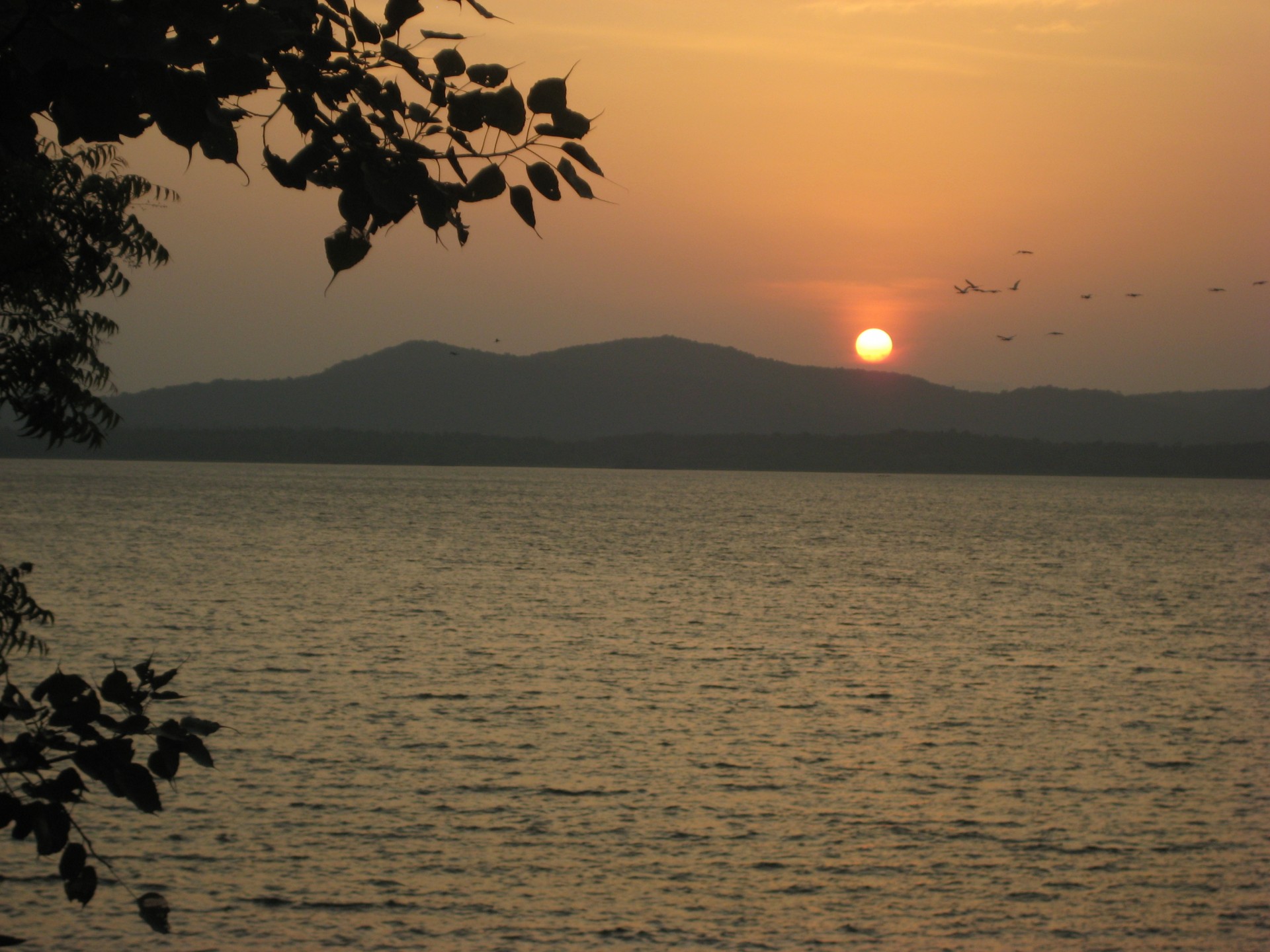 sunset sunset - sri lankan lake free pictures free photo