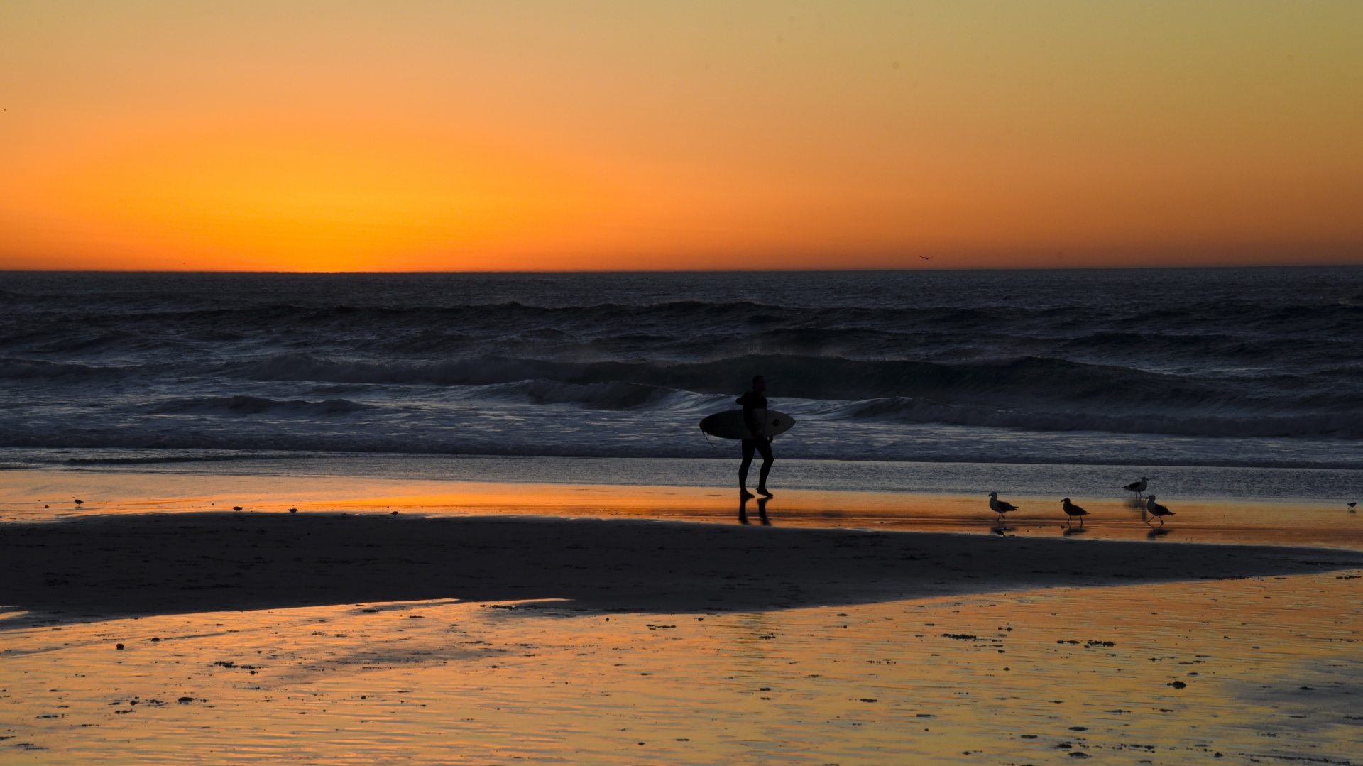 sunset beach silhouette free photo