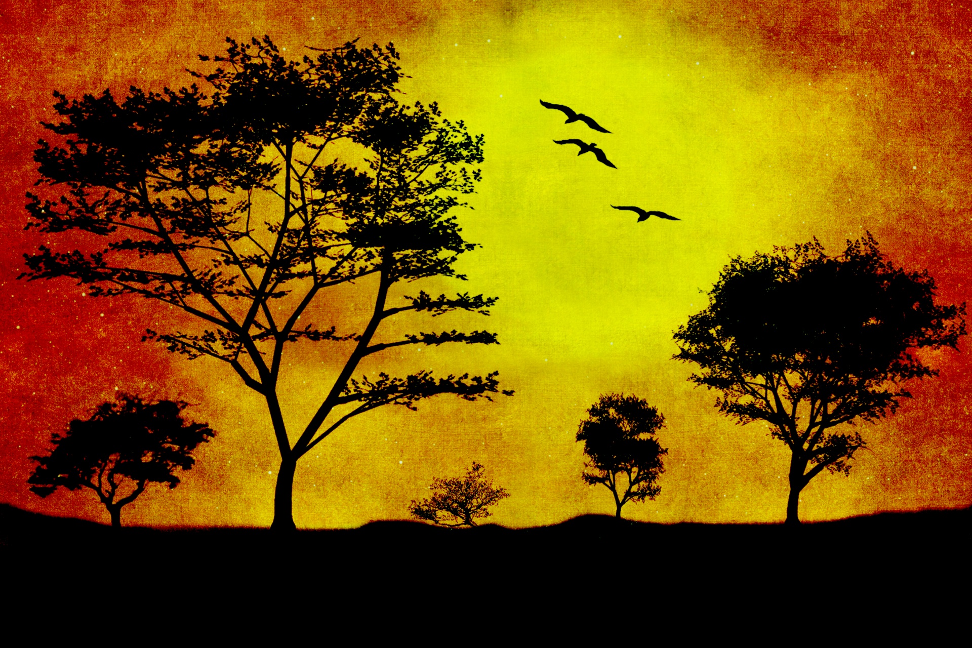 sunset trees birds free photo