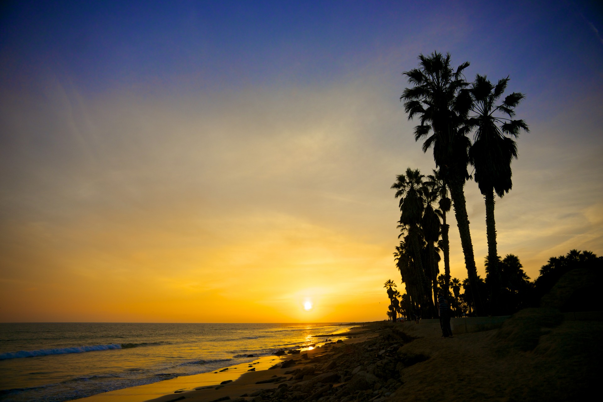 beach california ocean free photo