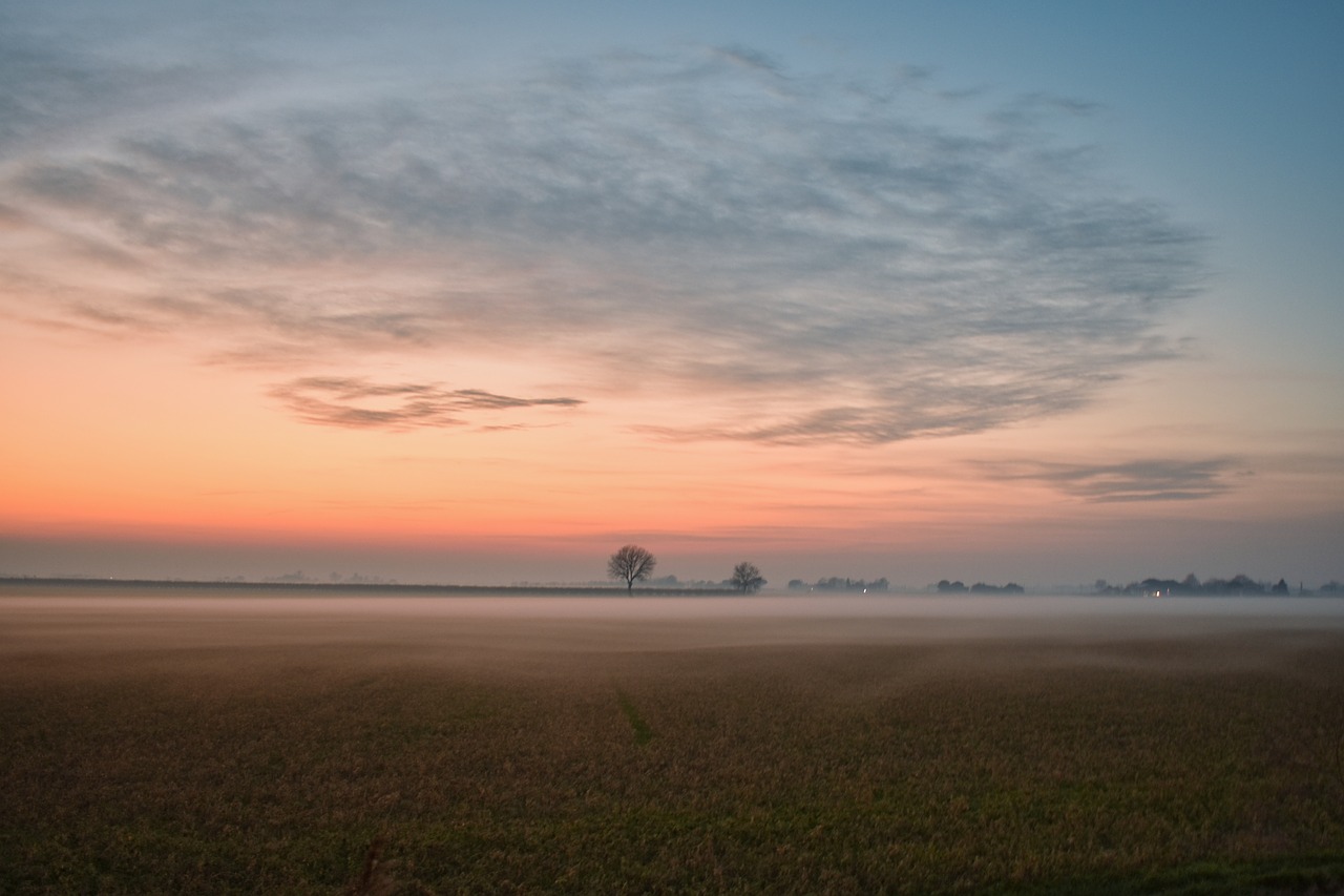 sunsets  fog  sky free photo