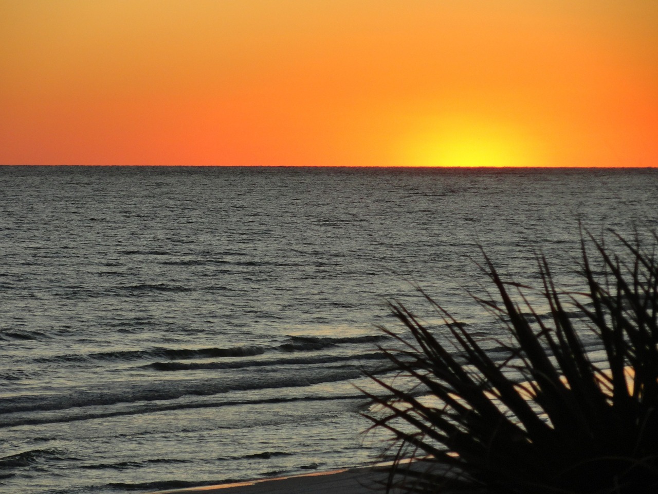 sunsets sea silhouette free photo
