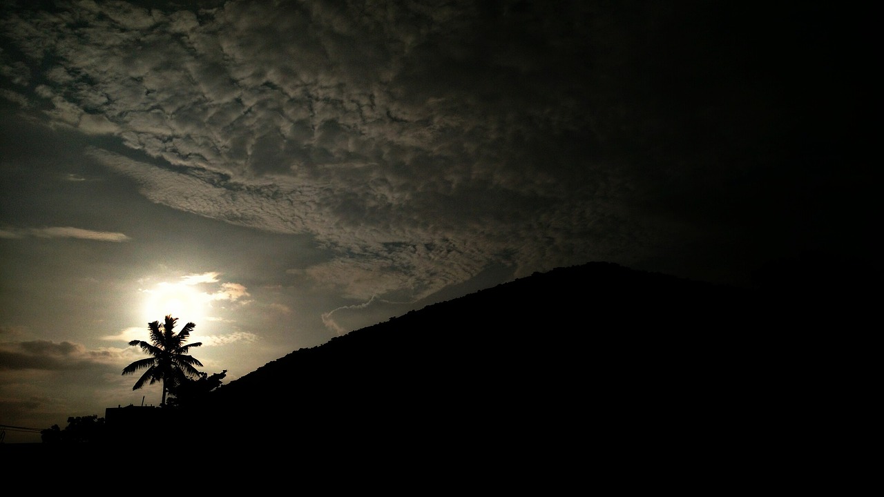 sunshine clouds trees free photo