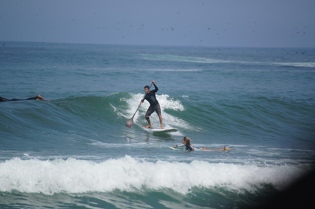 sup paddle surf free photo