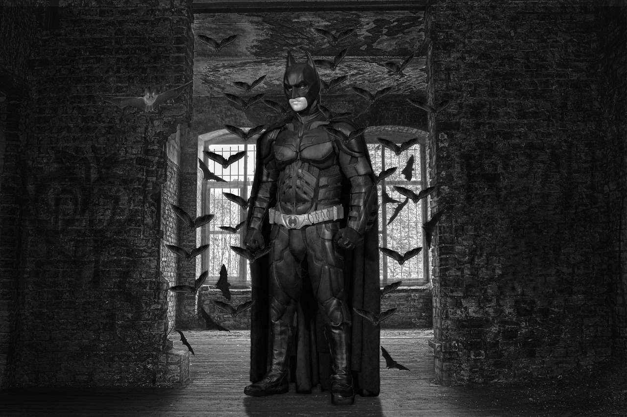 super heroes  batman  composing free photo