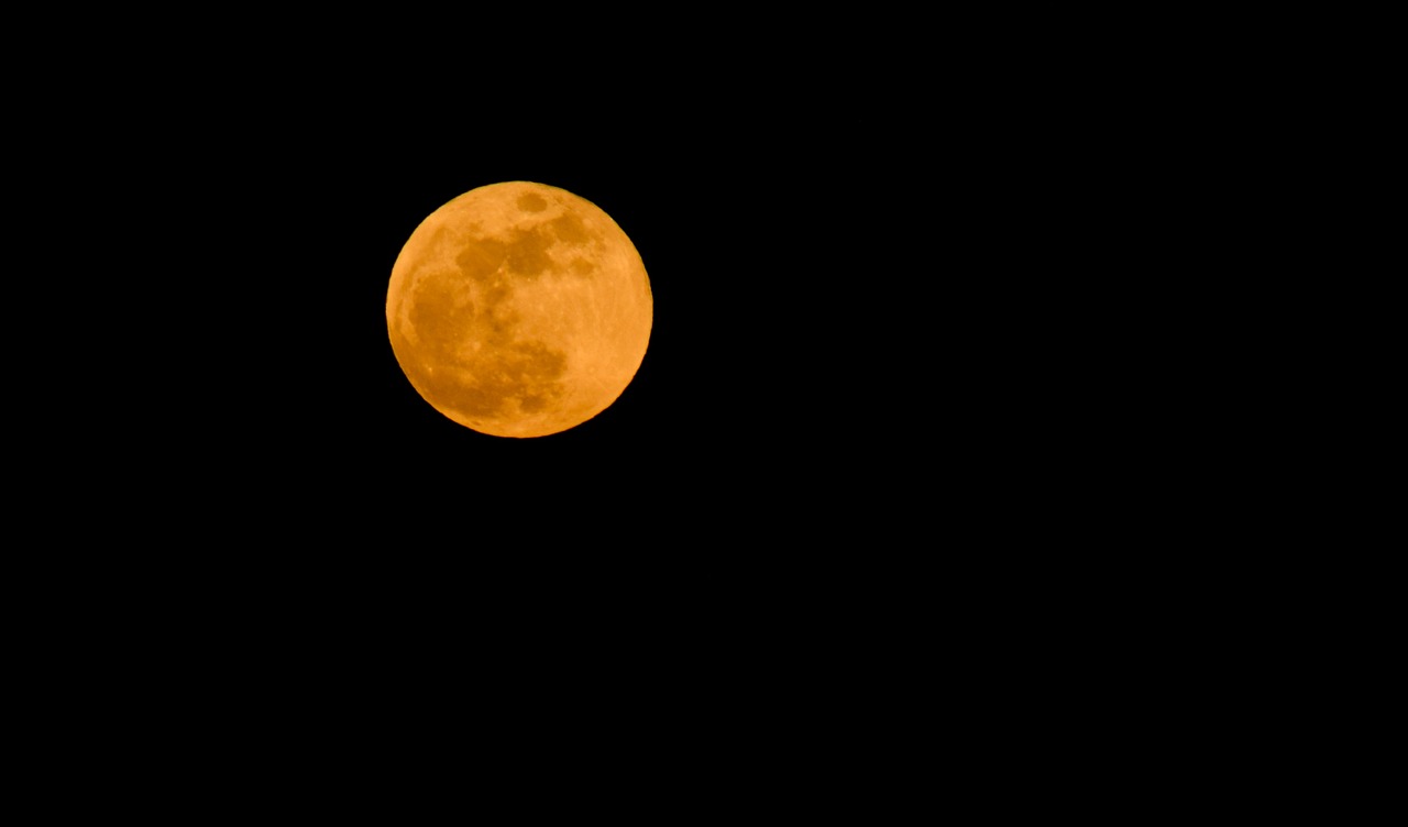 super moon  moon  night free photo