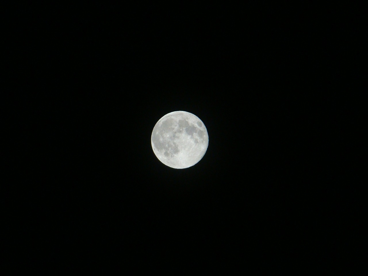 supermoon moon night free photo