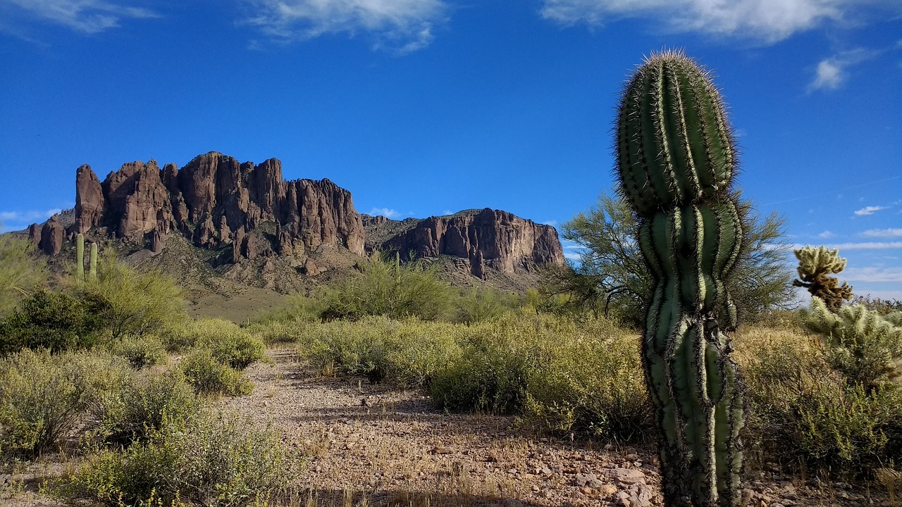 superstition mountain cactus blue free photo