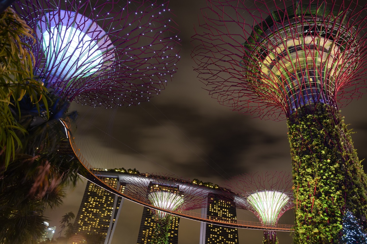 supertree singapore garden by the bay free photo
