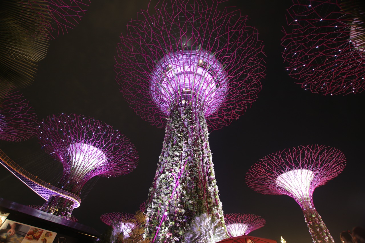 supertree night singapore free photo