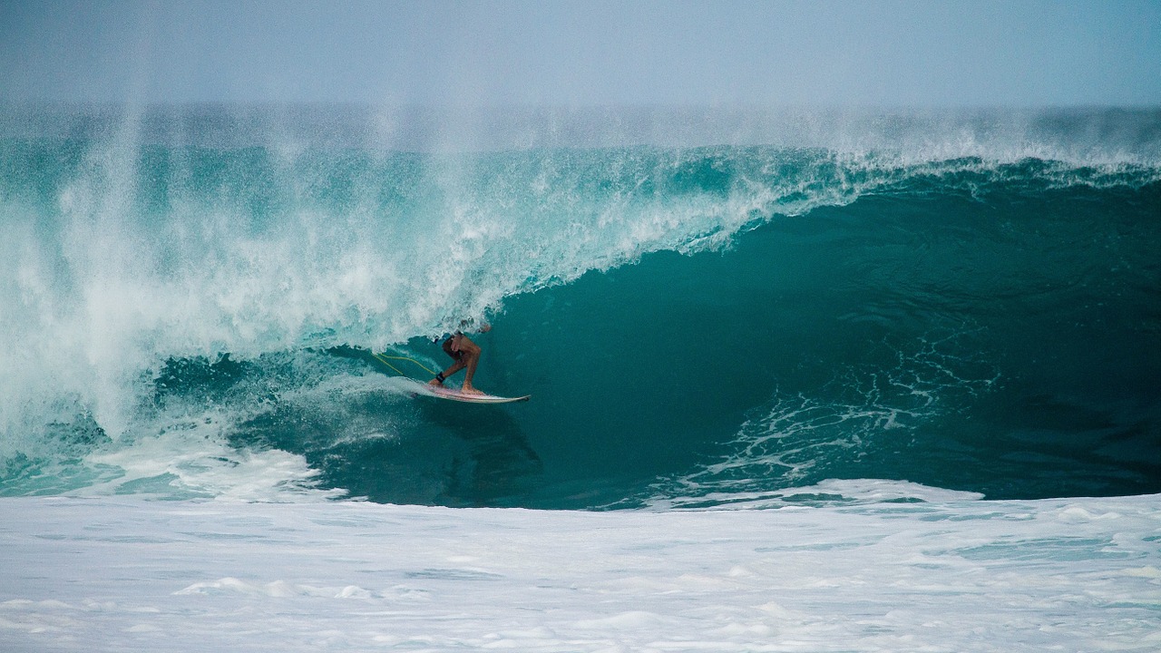 surf surfing surfboard free photo