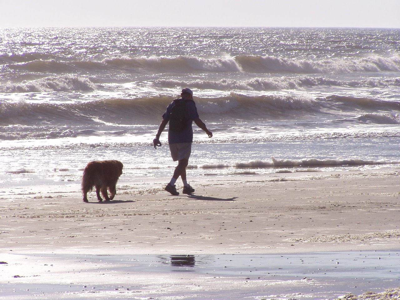 surf ocean beach free photo