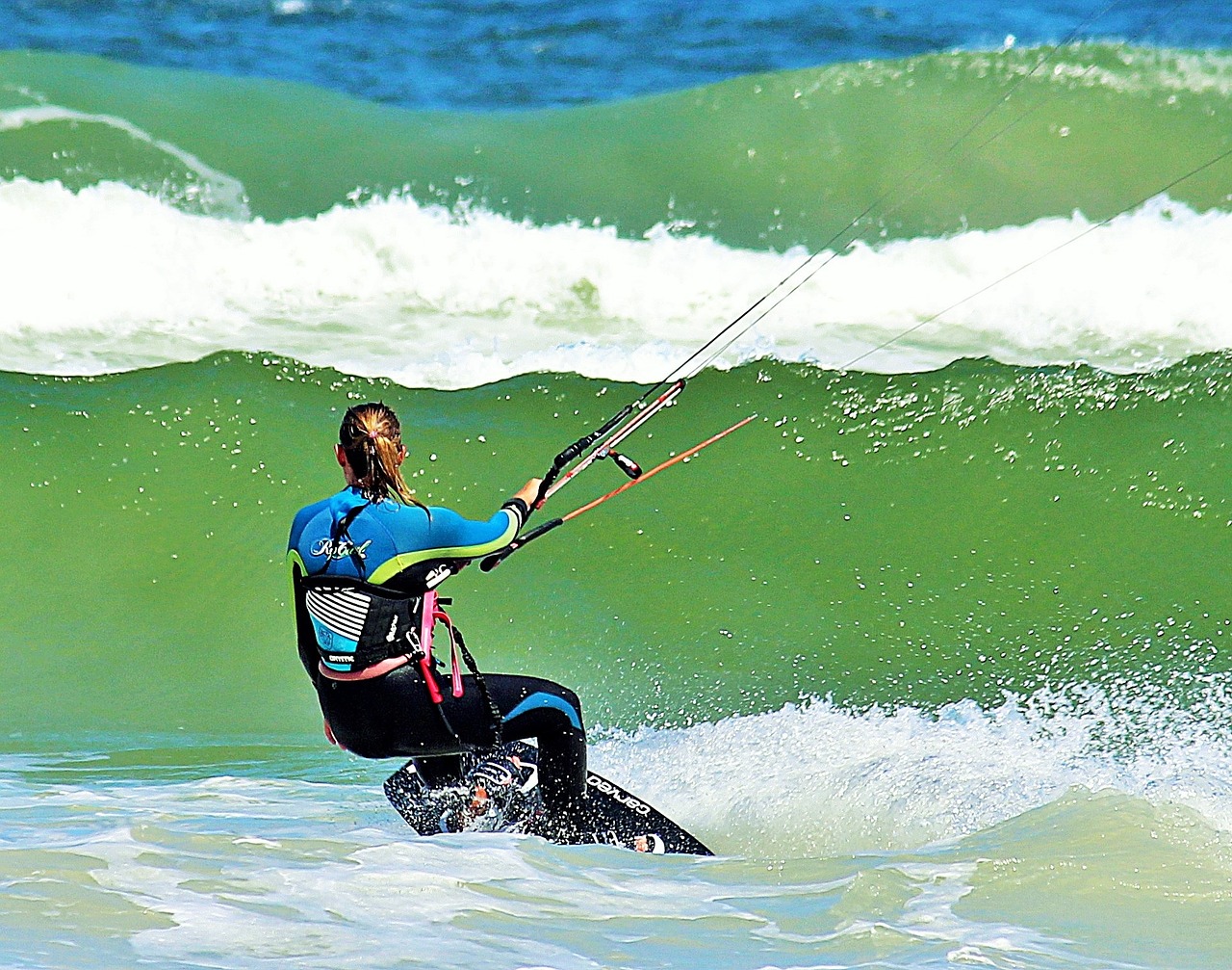 surf surfing kiting free photo