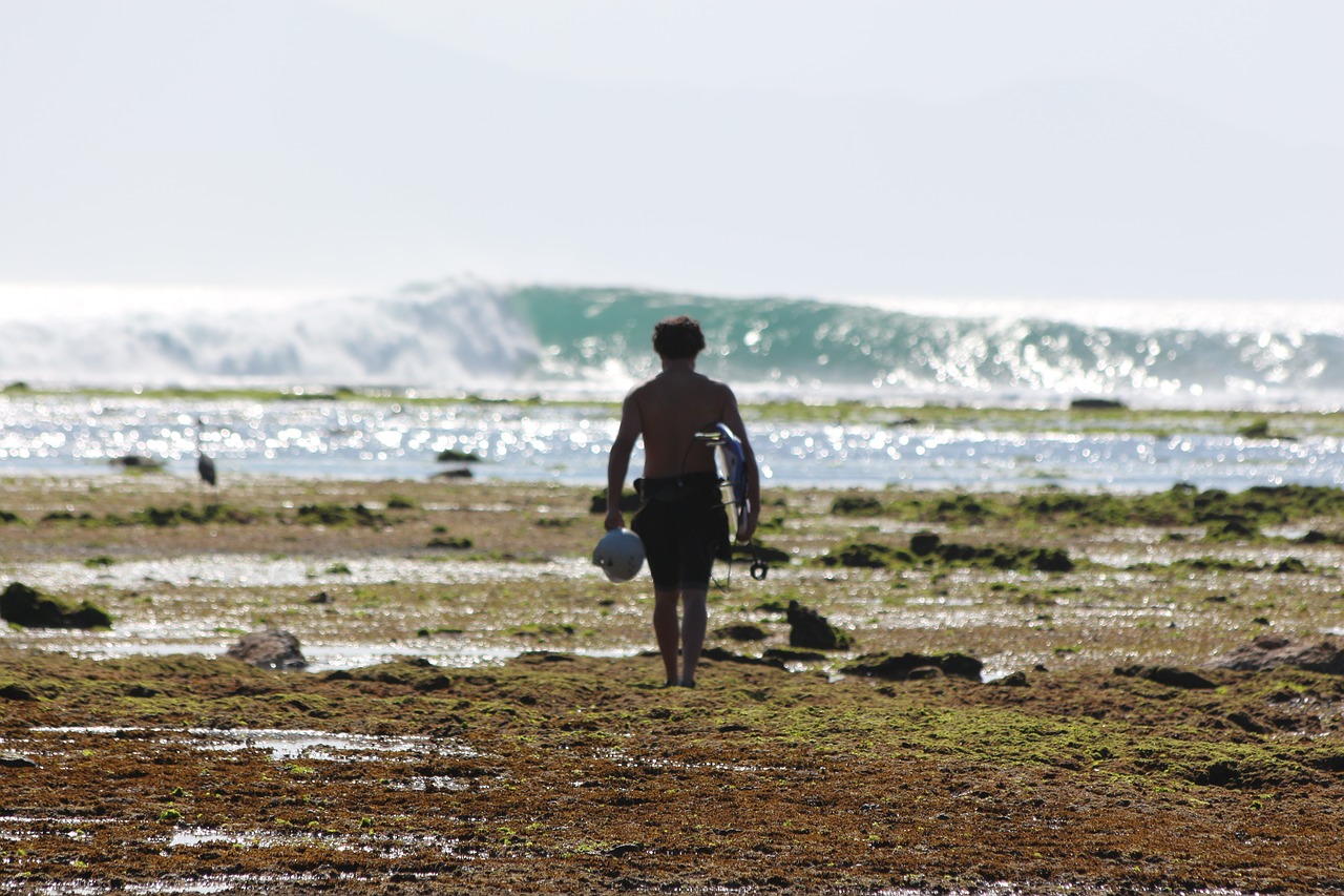 surf beach sports free photo