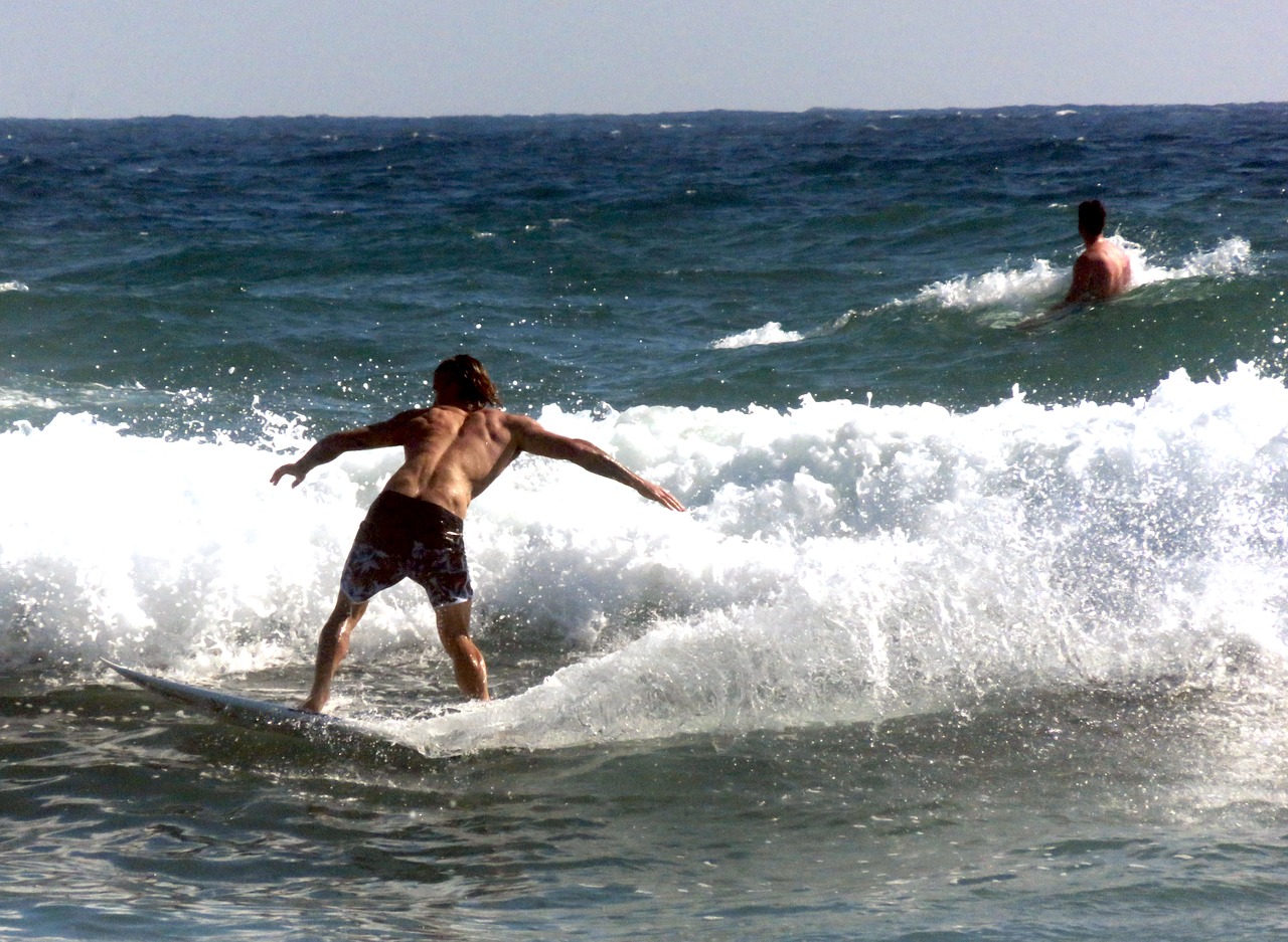 surf surfer beach free photo