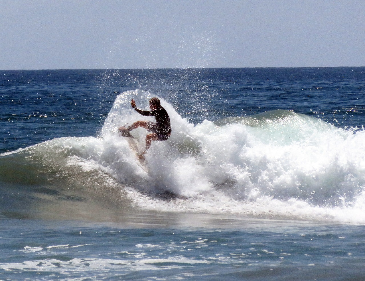 surf surfer wave free photo