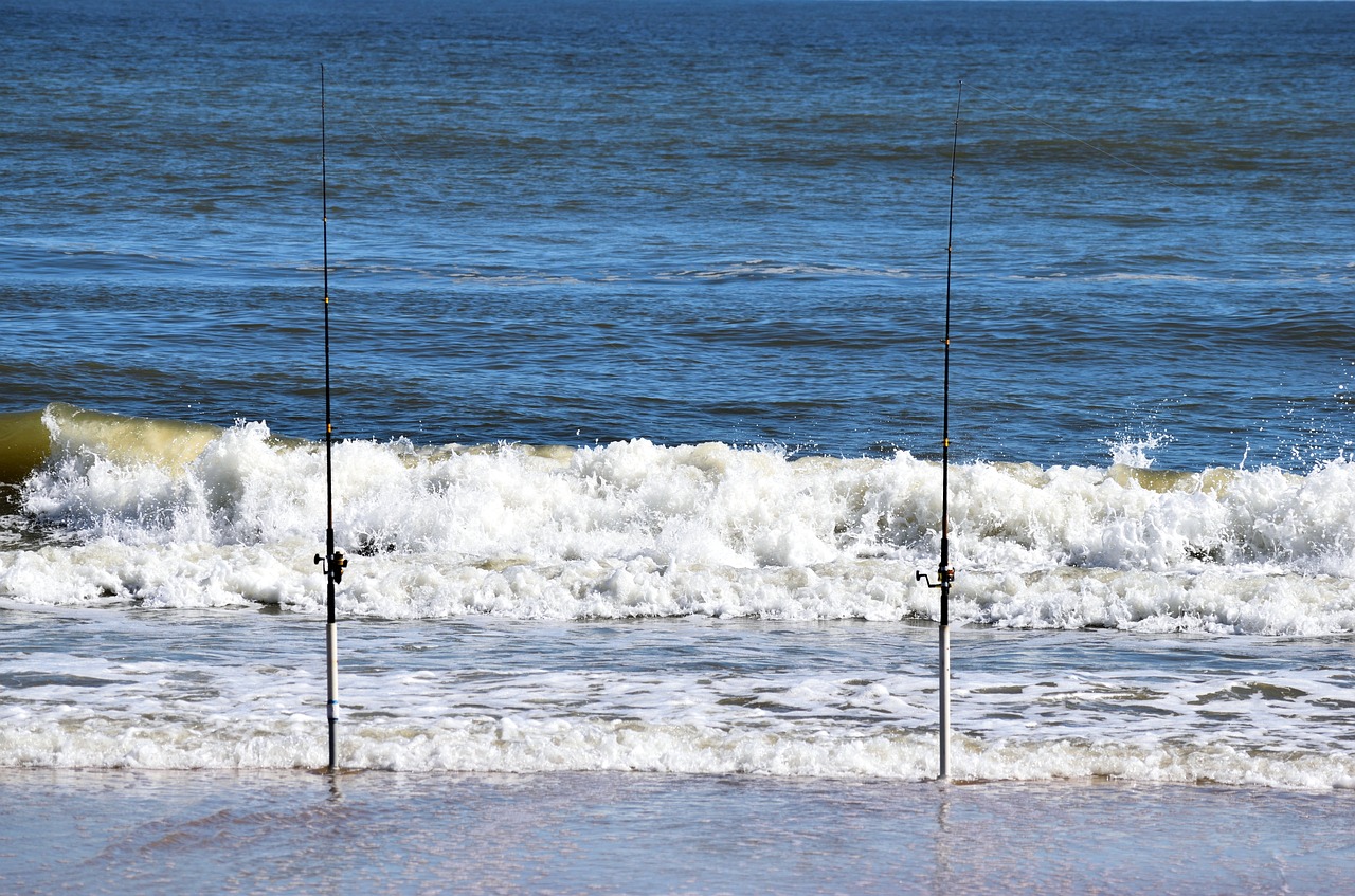 surf fishing poles ocean free photo