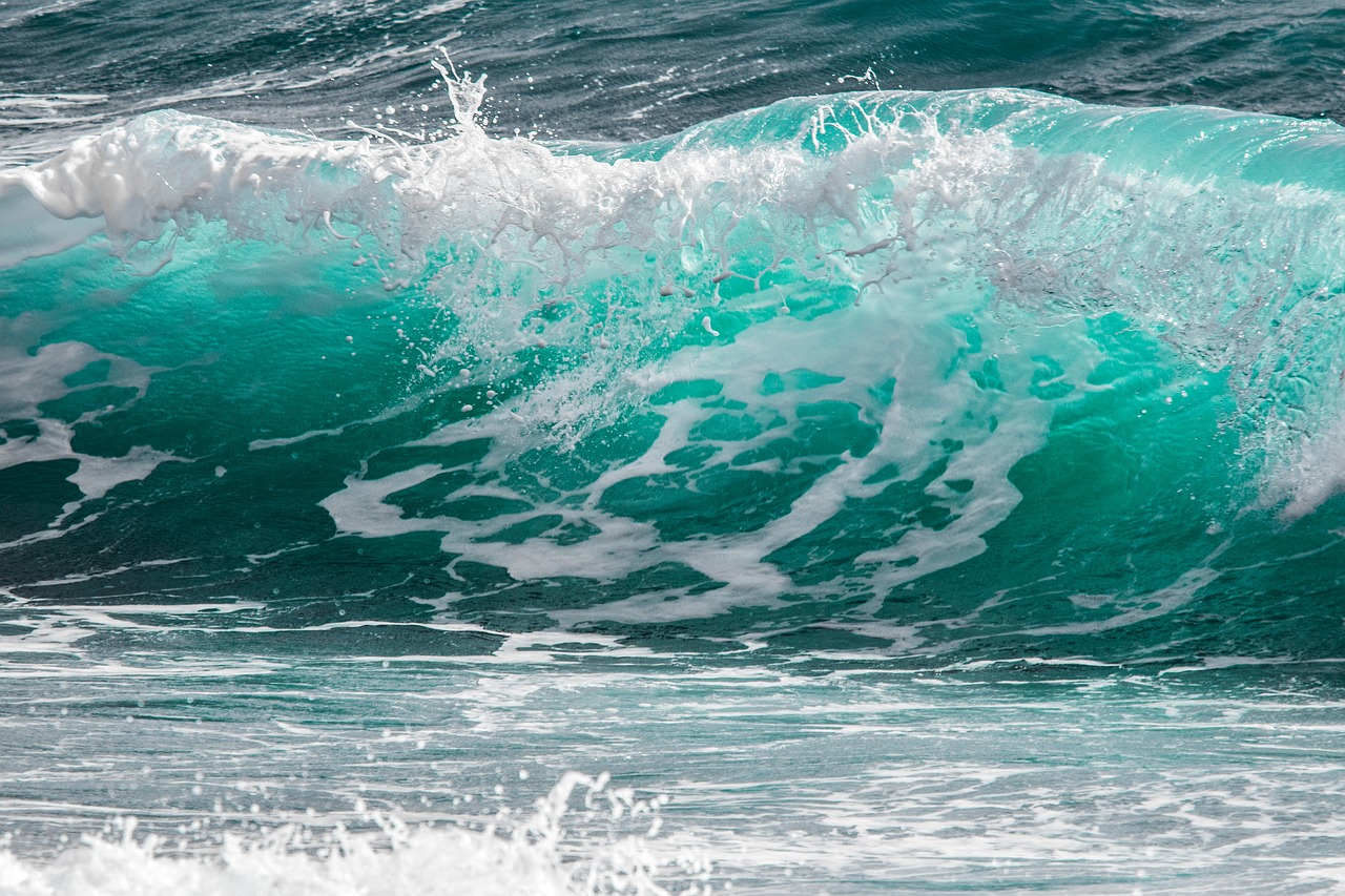 surf wave sea free photo