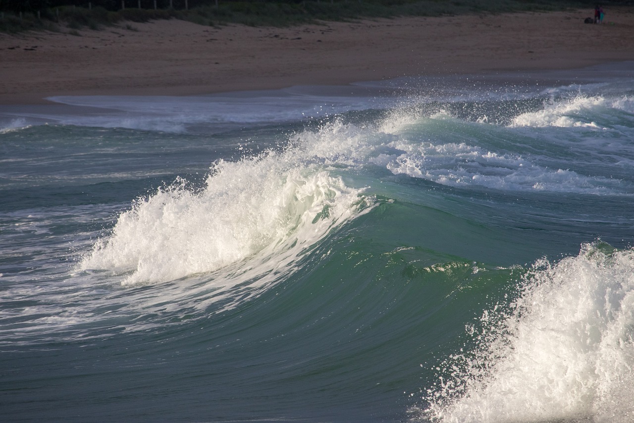 surf sea wave free photo