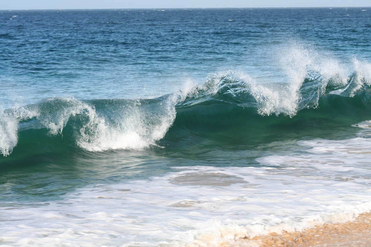 surf  wave  water free photo