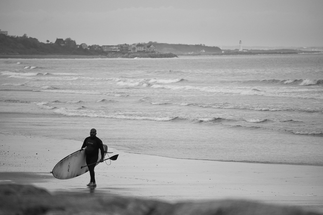 surf  surfer  paddle free photo