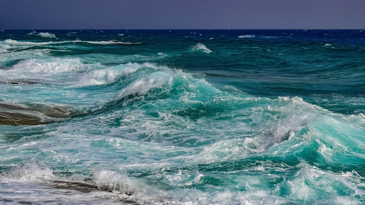 surf  wave  sea free photo