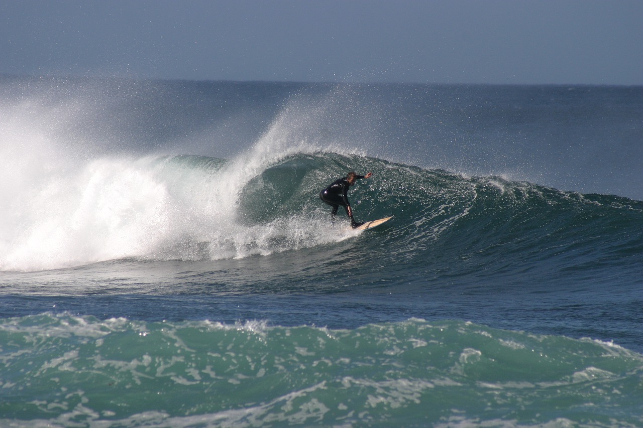 surf  wave  water free photo