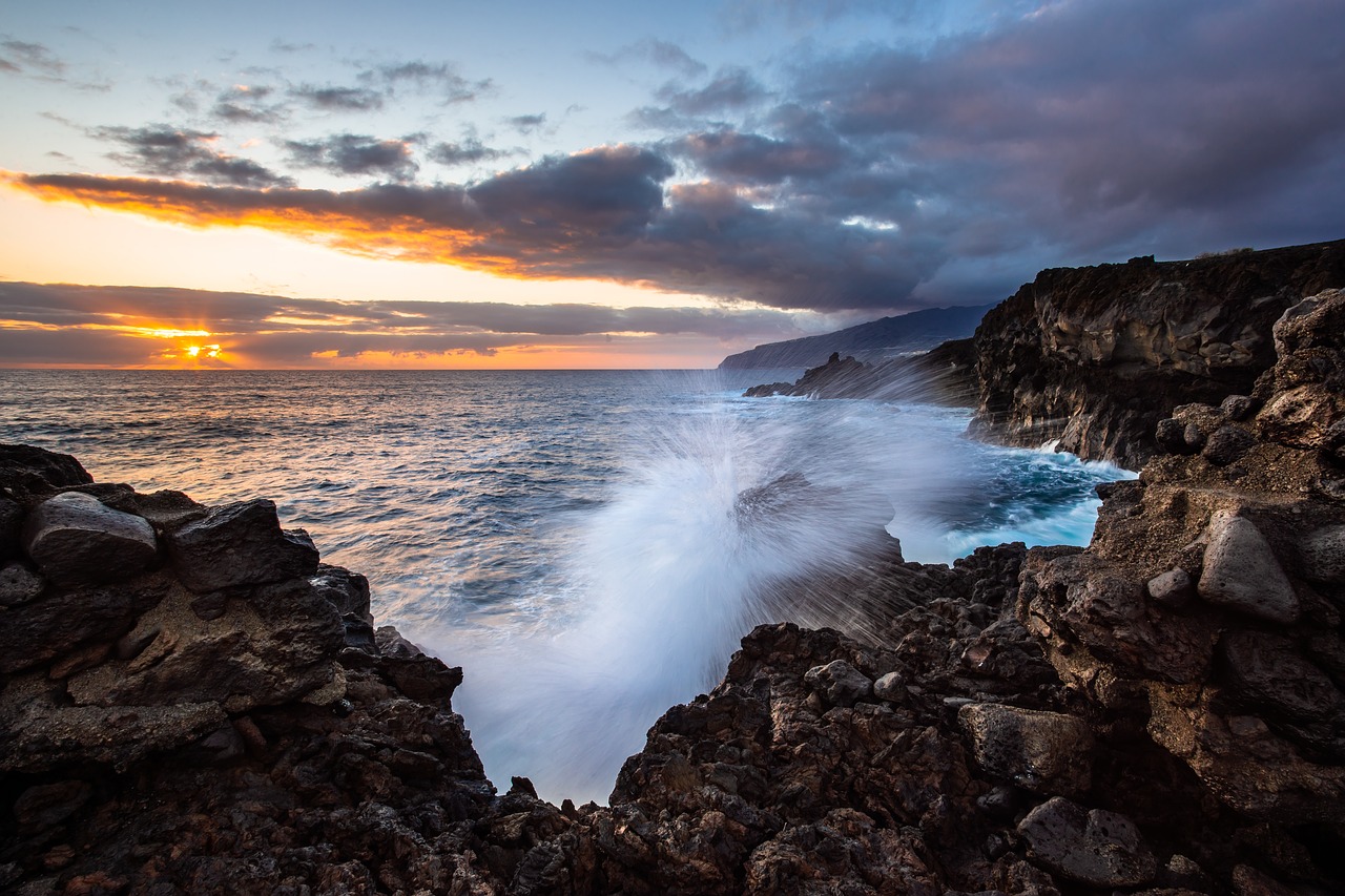 surf  wave  sea free photo