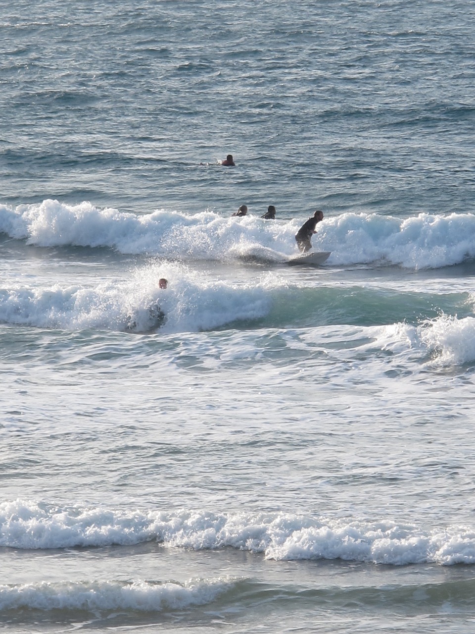 surf beach sea free photo