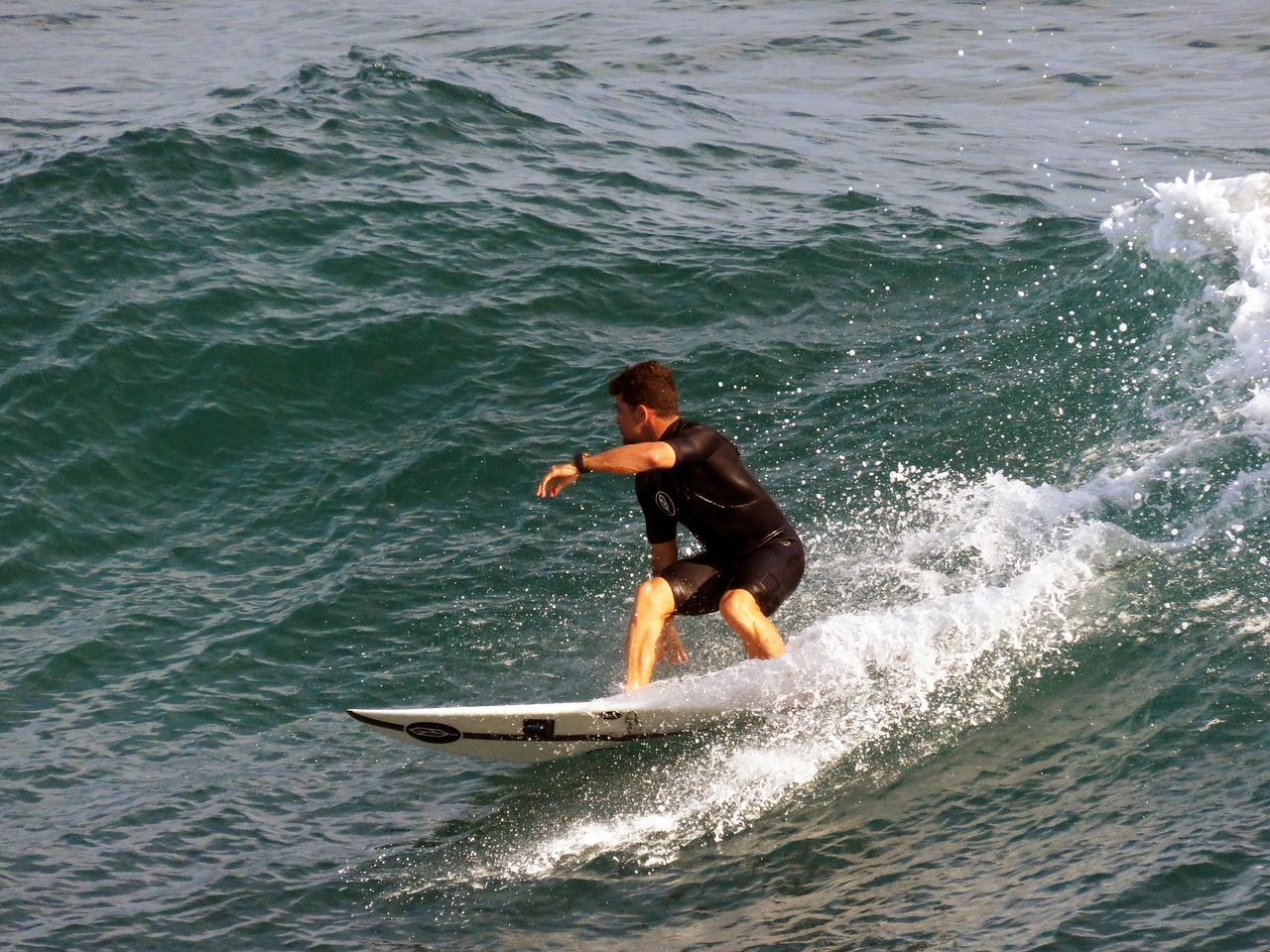 surf  surfer  wave free photo
