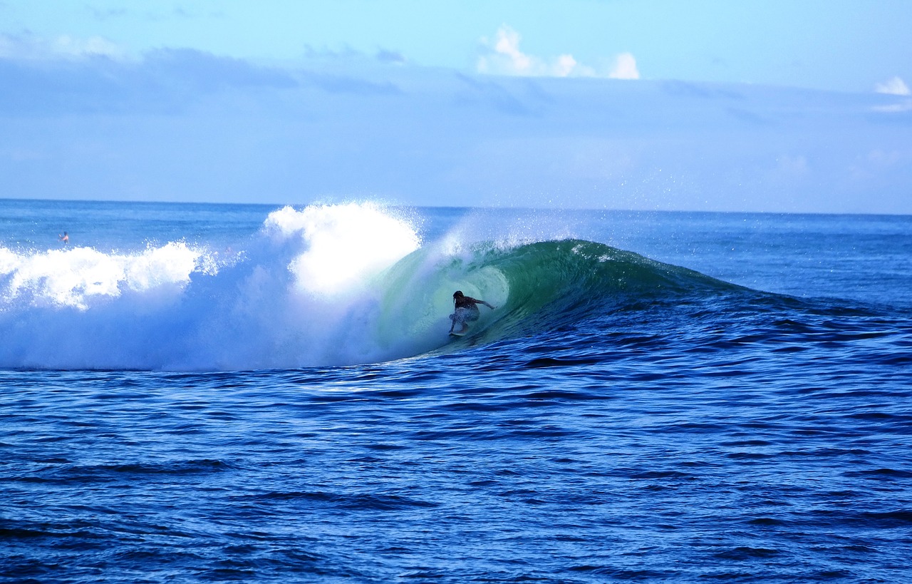 surf  waikiki  hawaii free photo