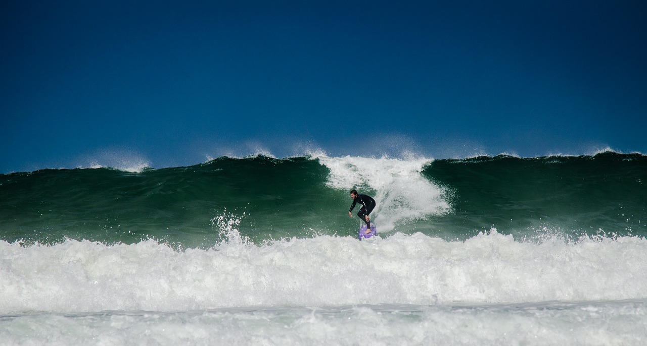 surf  wave  water free photo