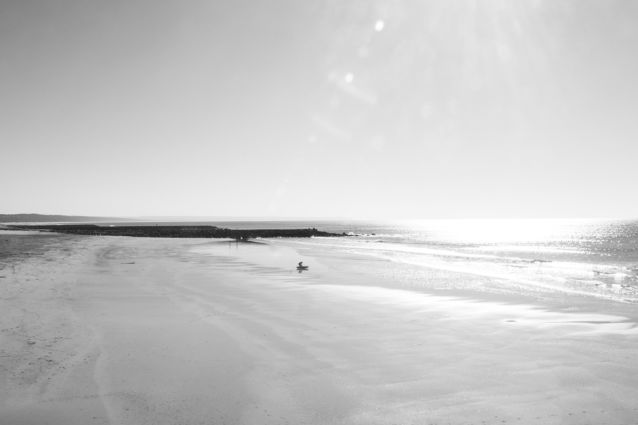 surf  beach  surfer free photo