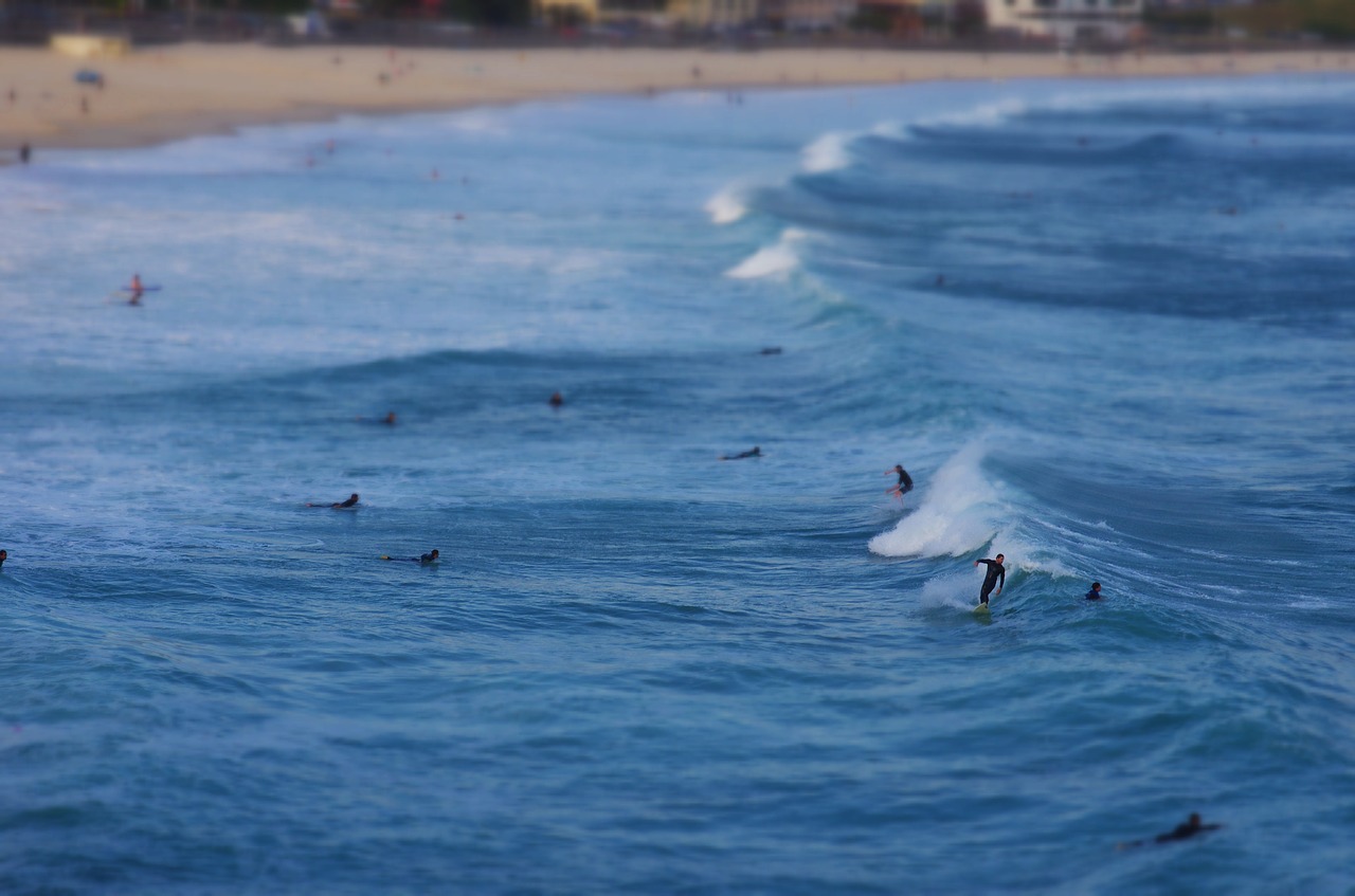 surf  people  surfing free photo