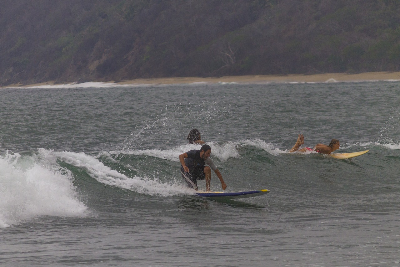 surf  surfer  sea free photo