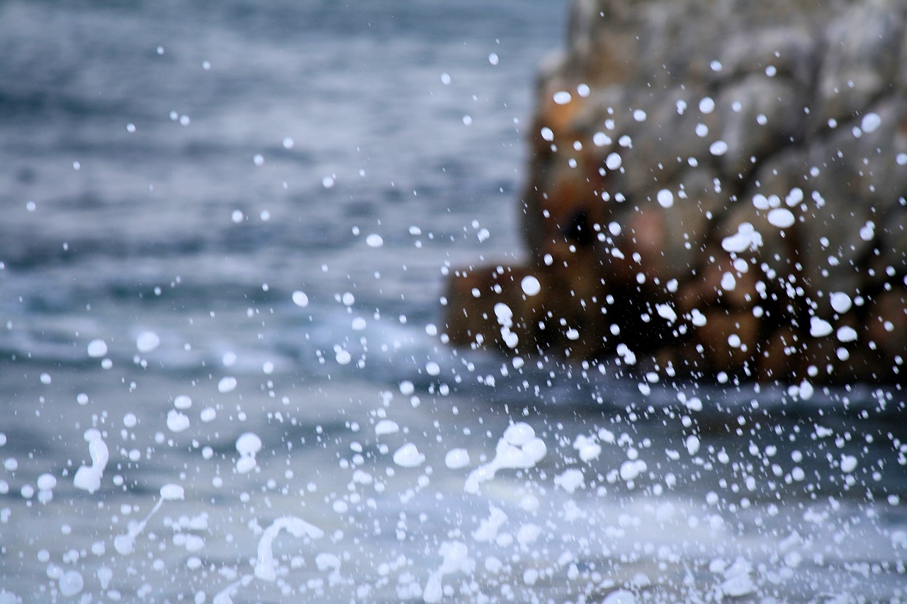 surf ocean coast free photo