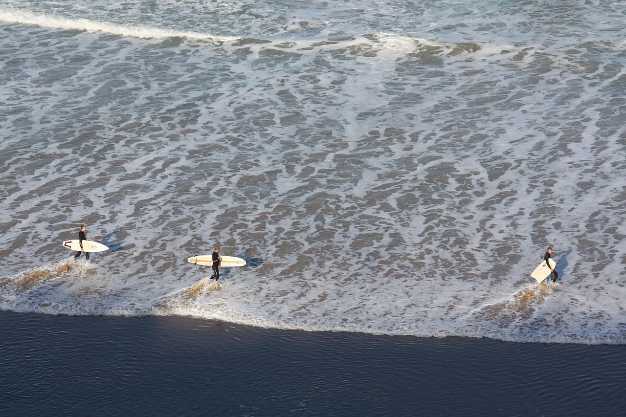 surf waves sea free photo