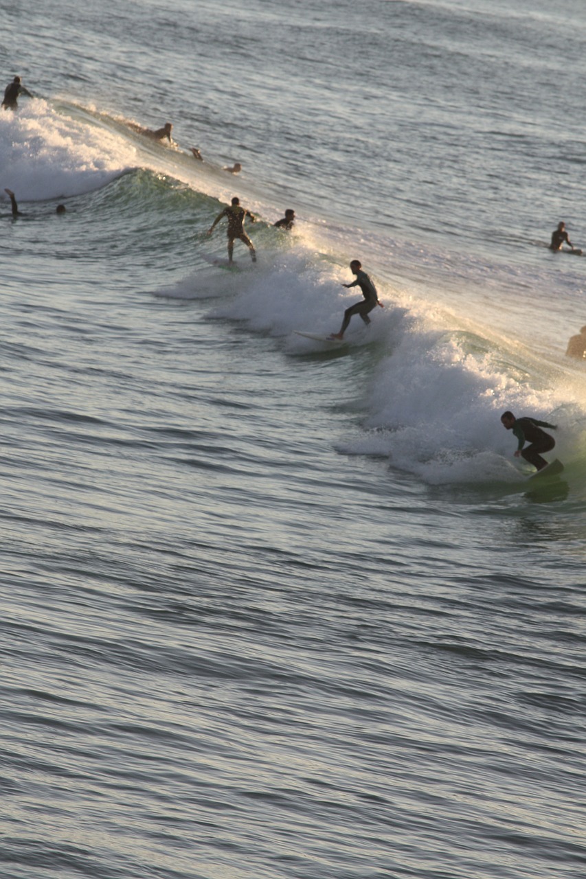 surf biarritz sea free photo