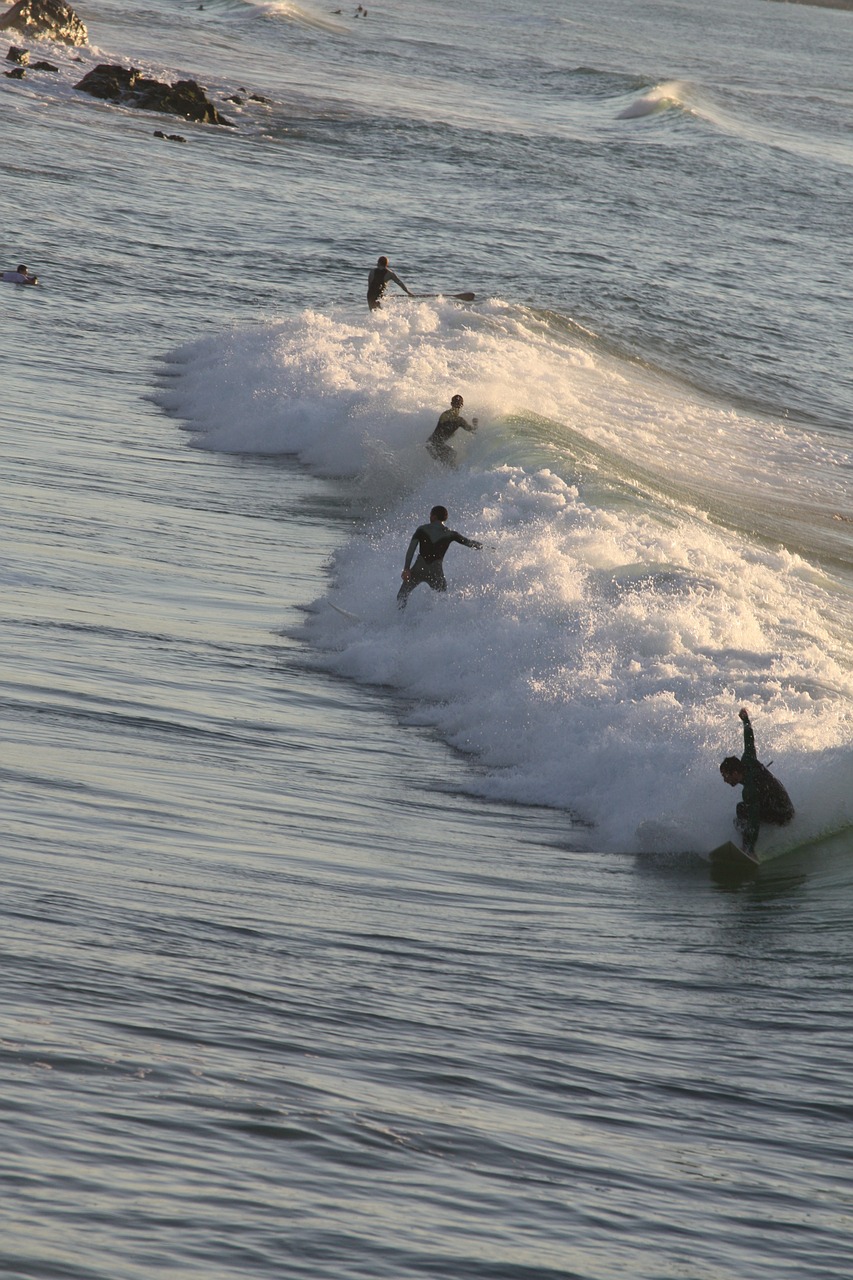 surf biarritz wave free photo