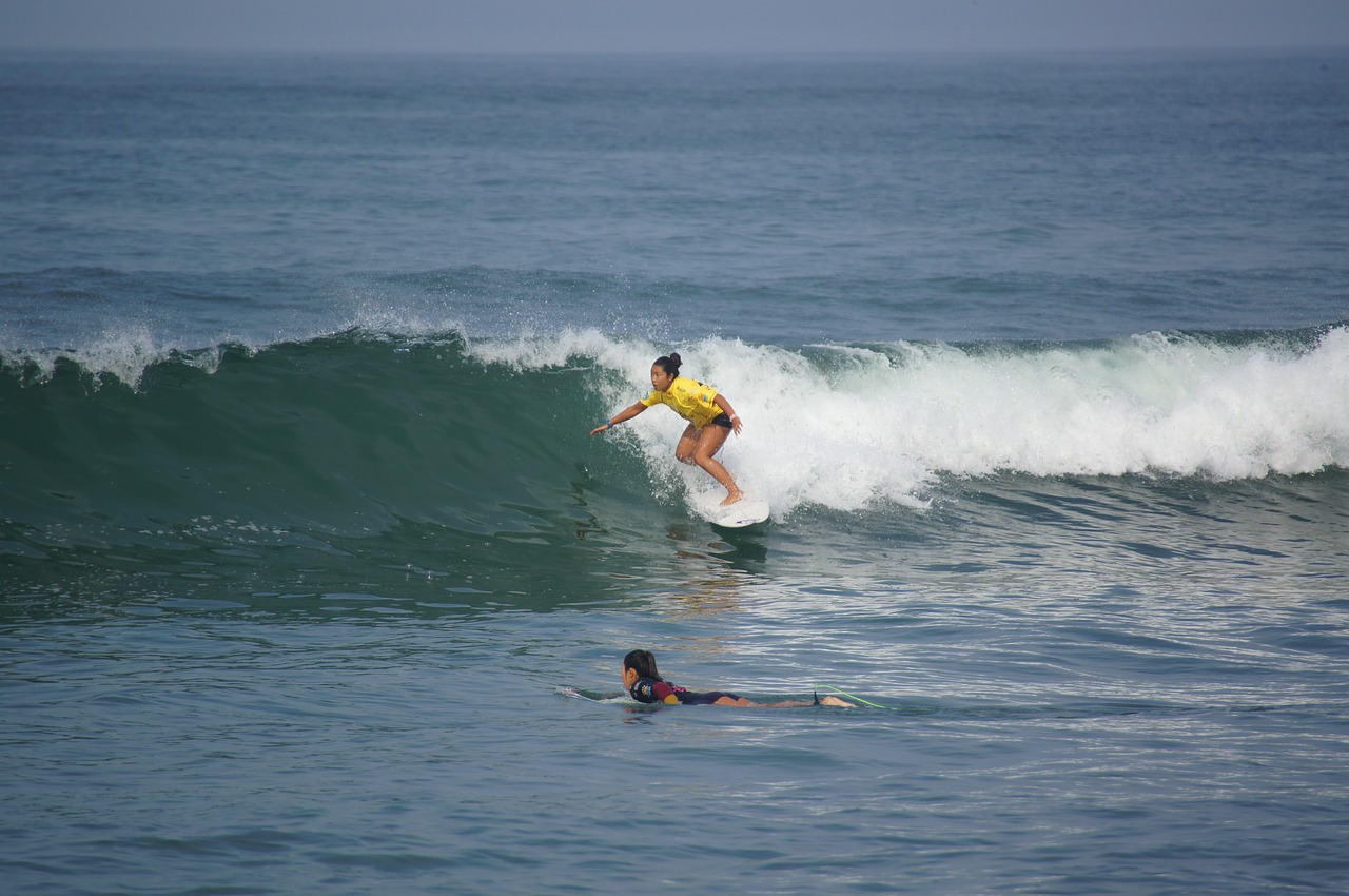 surf sport free pictures free photo