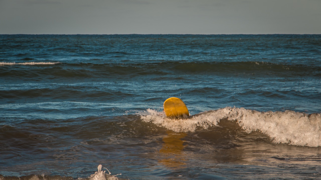 surf sea landscape free photo