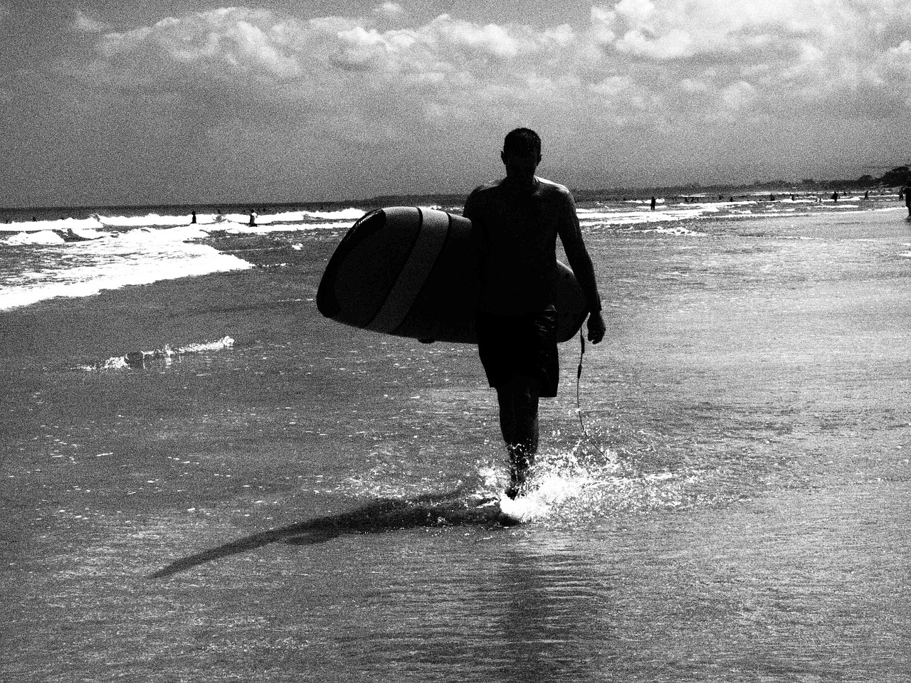 surf surfer sport free photo