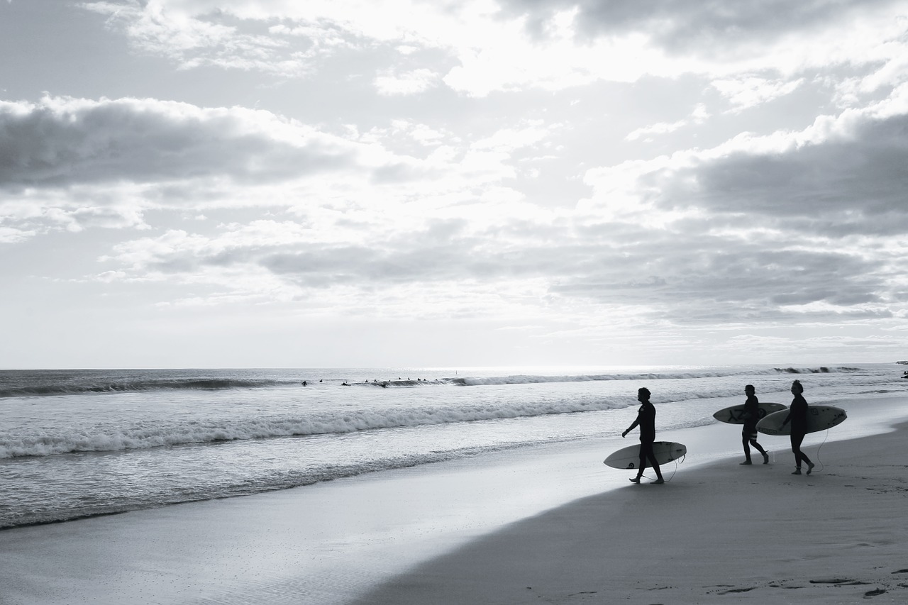 surf beach black and white free photo