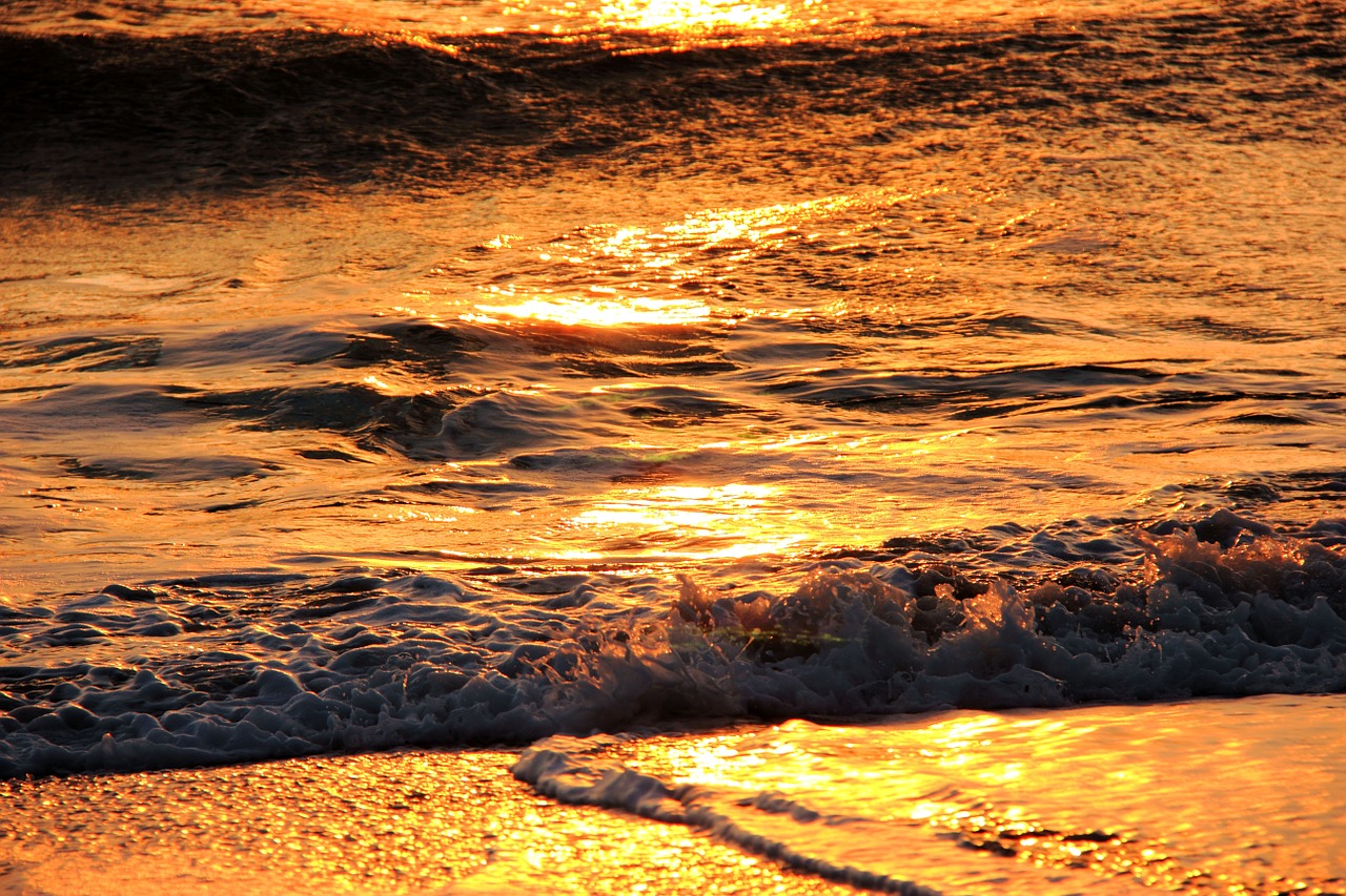 surf wave sea free photo