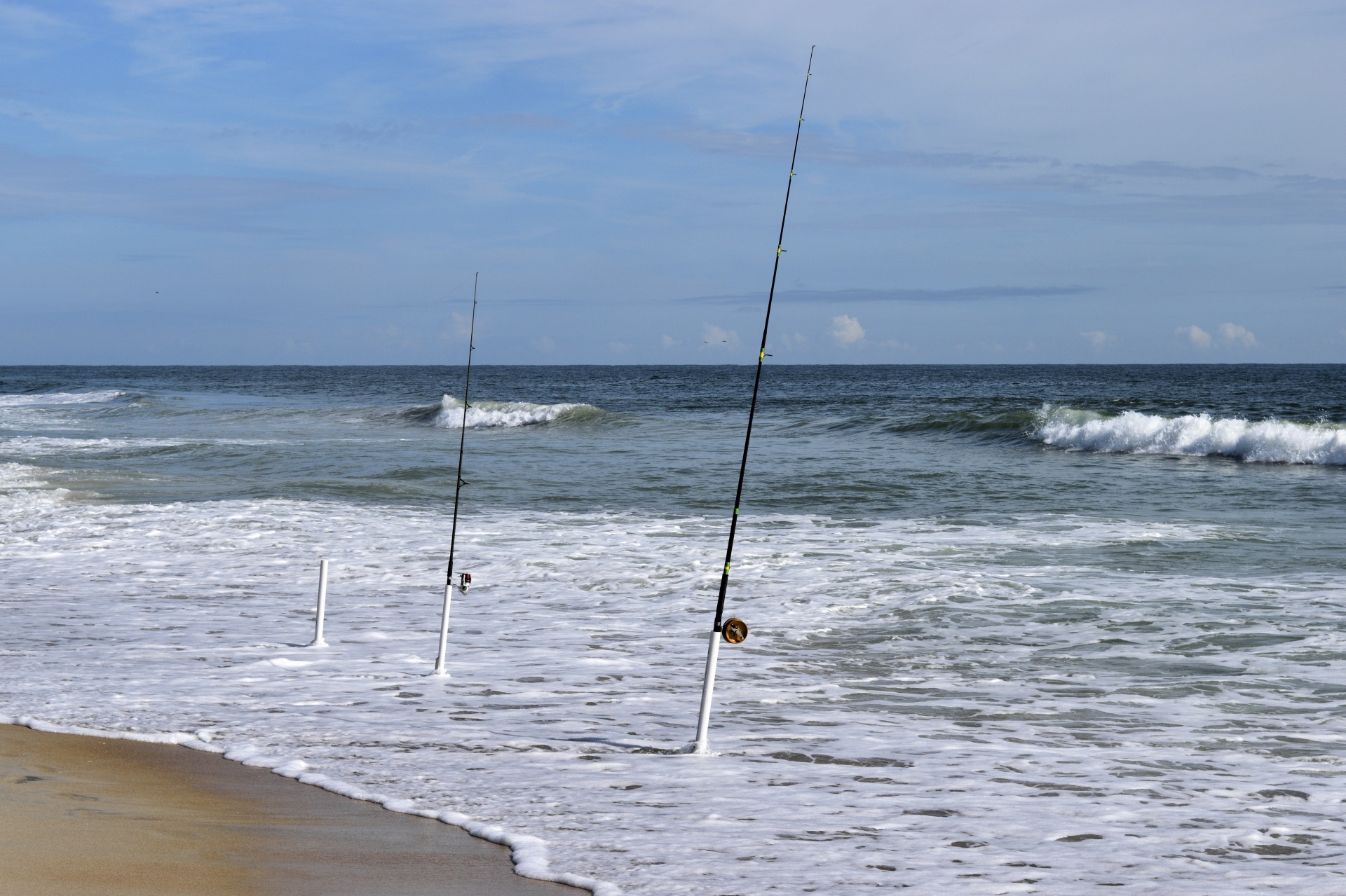 surf fishing poles rods free photo